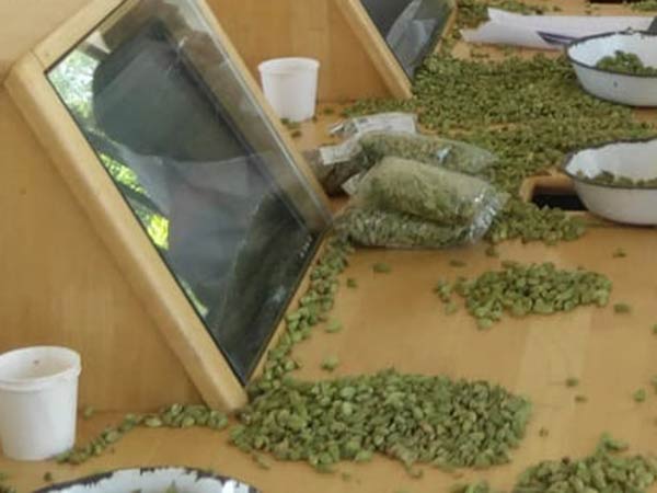 ஏலக்காய் ஏல விற்பனை நிறுவனங்கள் 