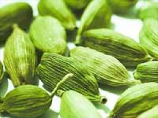 ஏலக்காய் விலை நிலவரம்