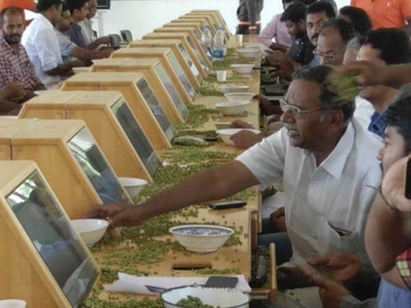 விலை சீராக உயர்வு 