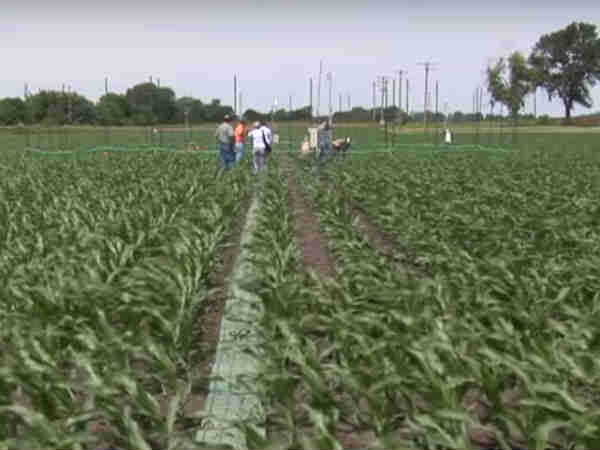 நம் தேச மக்கள் 