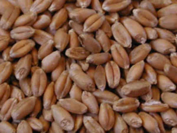 3.57 கோடி டன்