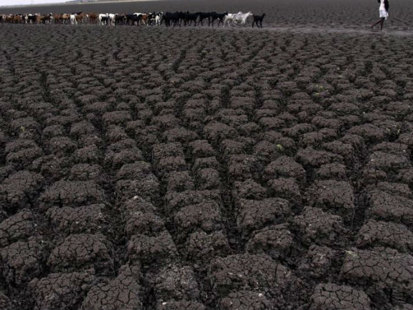 புகைப்படக்காரர் சதீஷ் 