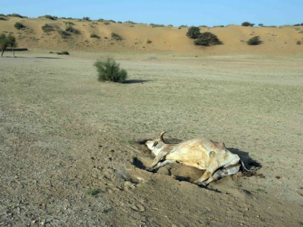 புகைப்படக்காரர் புருஷோத்தம் திவாகர் 