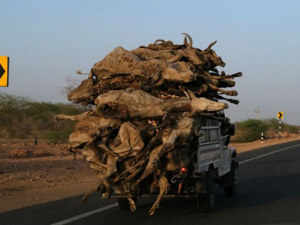 புகைப்படக்காரர் புருஷோத்தம் திவாகர் 