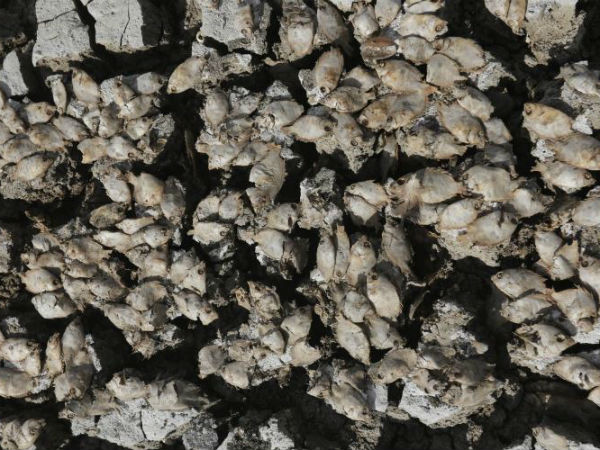 புகைப்படக்காரர் ஜெய்ஷன் ஜி 