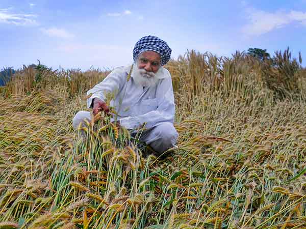 3.03 கோடி விவசாயிகள்