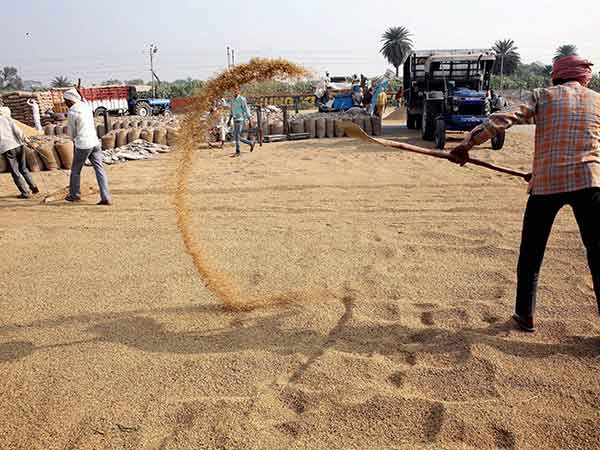 பெயர் இருந்தால் போதும்? 