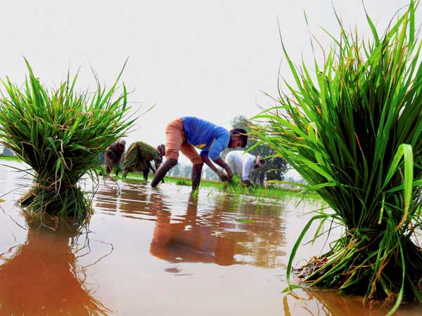 அமைச்சரவை ஒப்புதல்