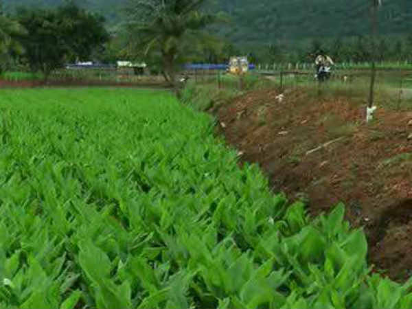 விவாசாயத்திற்கு புதிய கமிஷன் 