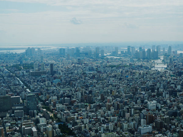 இந்தியாவில் கால் பதிப்பு 