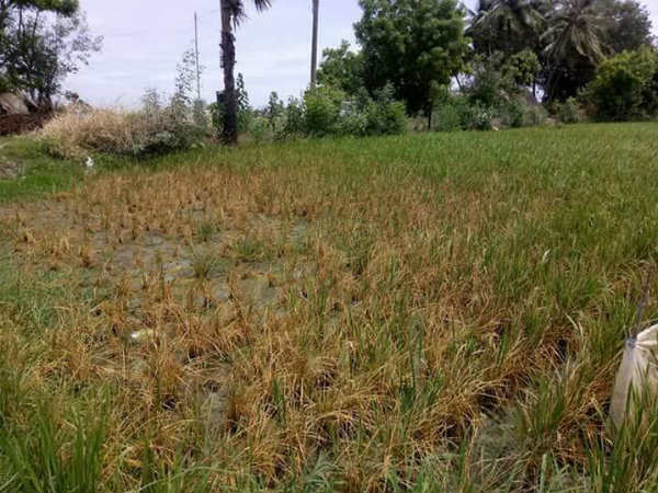 17 இயற்கை எரிவாயு கிணறுகள்! 