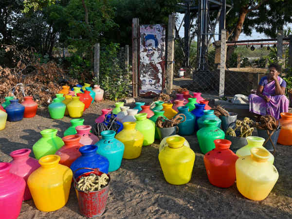  கான்கிரீட் காடுகள்