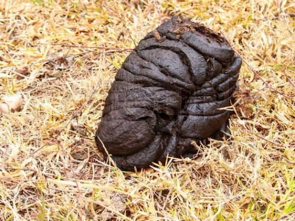 யாரும் நம்பவில்லை