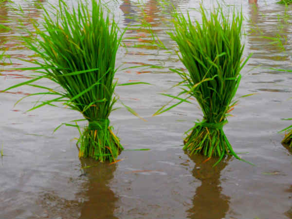 நிதி ஆதாரம் எங்கே