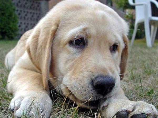 ஆச்சர்யம் 