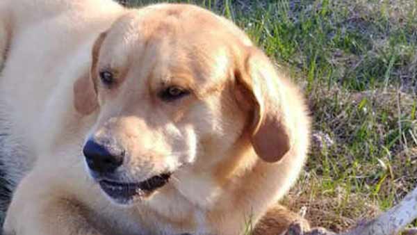 உறவினர்கள் 