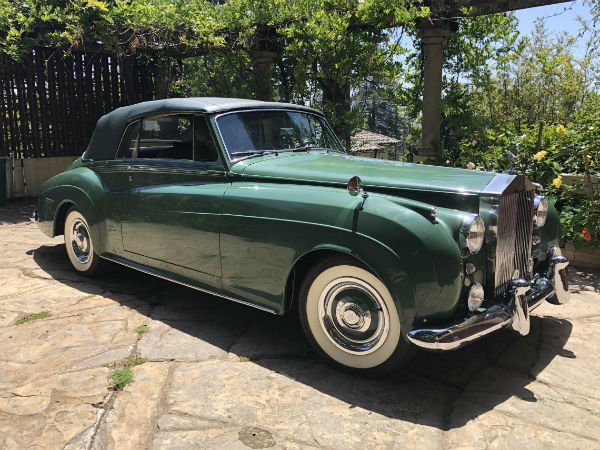 ஏலத்திற்கு வரும் பச்சை தேவதை