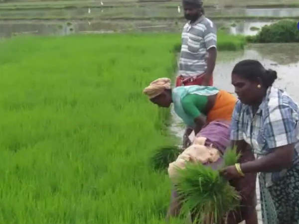 விவசாயத்துறையை புதுபித்தல்! 