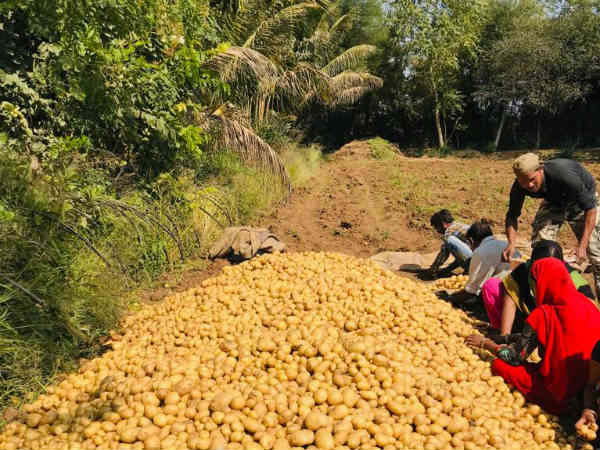 பயிர்கள் சுத்தமான தண்ணீரில் பாசனம் 