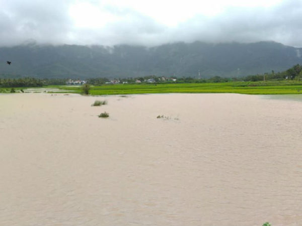 நீர் சக்தி இயக்கம்