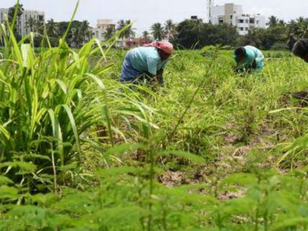 இயற்கை பொருட்கள் என்றாலே விலை விகிதம்? 