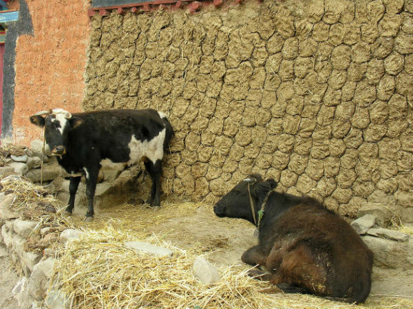 மாத்தி யோசி