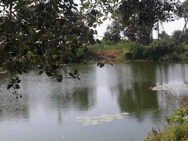 ரூ.10 ஆயிரம் கோடி ஒதுக்கீடு