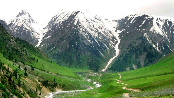 சட்டப் பிரிவு 35A 