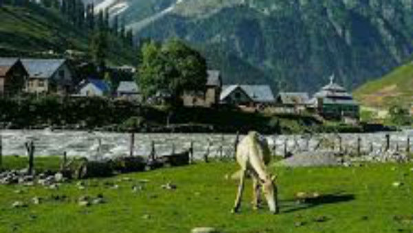 ரெரா வேண்டும் 