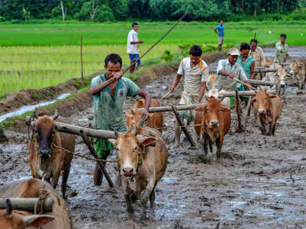 கணக்கில் வராத பணத்தை, விவசாய வருமானமாக காட்டியிருக்கலாம்? 