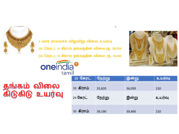 தங்க விலை நிலவரம் 