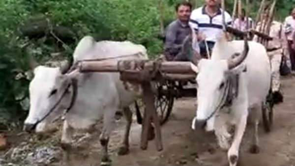 மாட்டு வண்டி வயலுக்கு அருகில் நிறுத்தி வைப்பு 