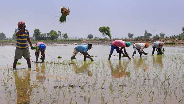 மற்ற வேலைகள் 