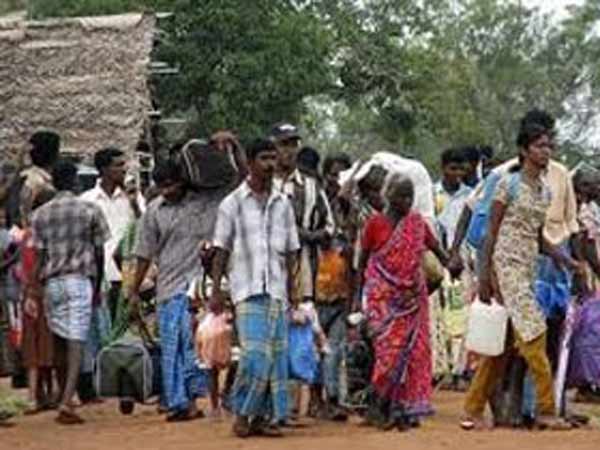 மொத்தம் 