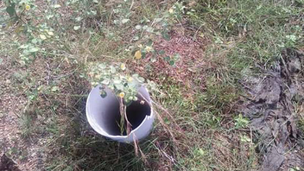 திடீர் ஆய்வு செய்ய வேண்டும் 