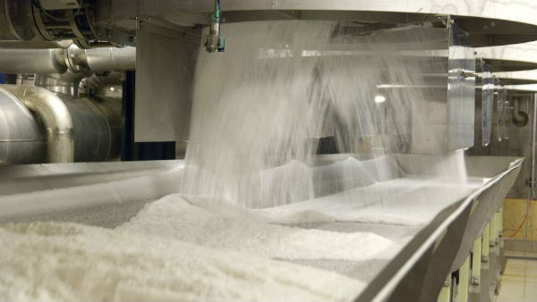 ஸ்ரீ ரேணுகா சுகர்ஸ் ரூ.2,739.6 கோடி ஒருங்கிணைந்த லாபம்.. ! 