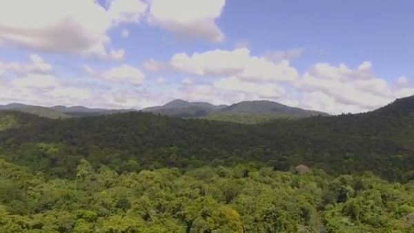 அரசு தரப்பு 