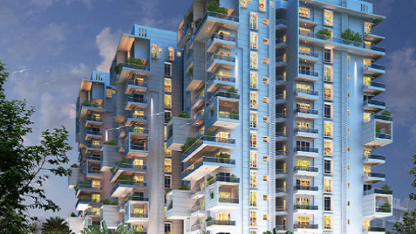 பெண்களும் குழந்தைகளும் பாதிப்பு 