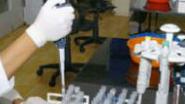 தரவுகள் 