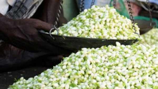 என்ன தேவை 