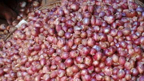 விலை எப்படி? 