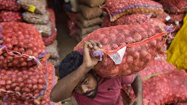 பயிரிடுதல் 