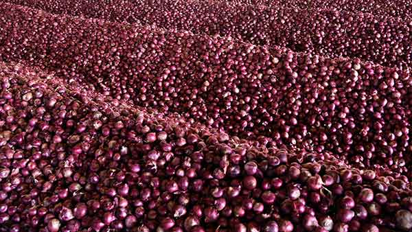 தன் தொகுதி 