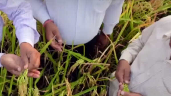 பிஐ என்ன செய்கிறது? 