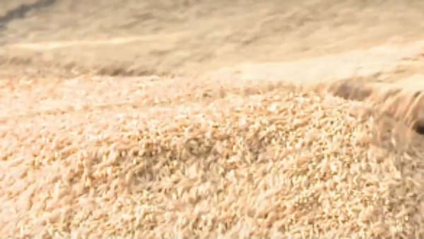 ஒரு வருடத்தில் லாபம் 