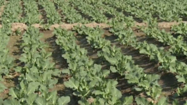 இந்தியாவில் முதலிடம் 