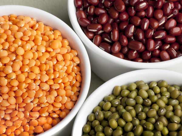 தானியங்களின் விலை அதிகரிப்பு 