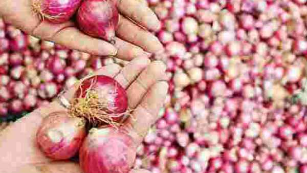 வெங்காயம் விலை 