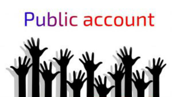 Public Account 