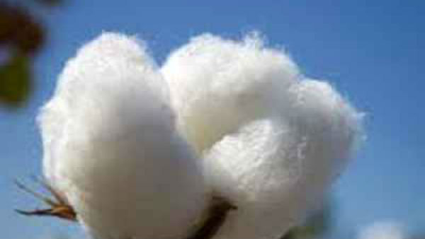 உபயோகம் அதிகரிப்பு 